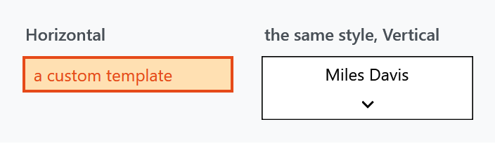 The custom template applies horizontally and is discarded vertically